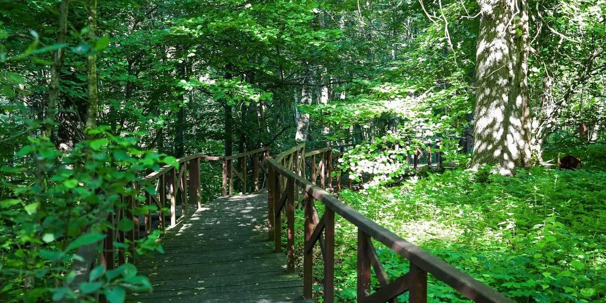 Изображение https://www.mos.ru/