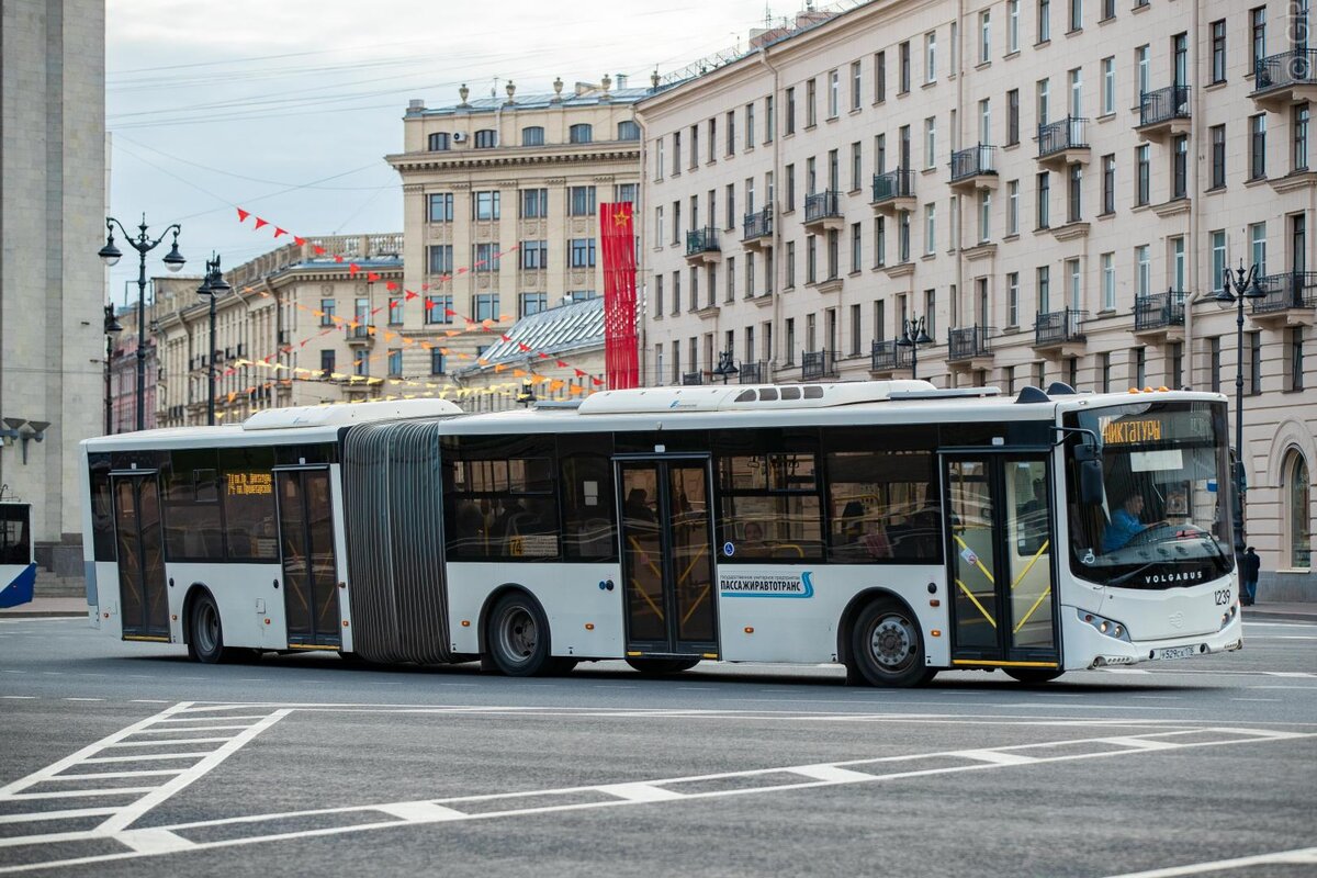 Воронеж метробус проект