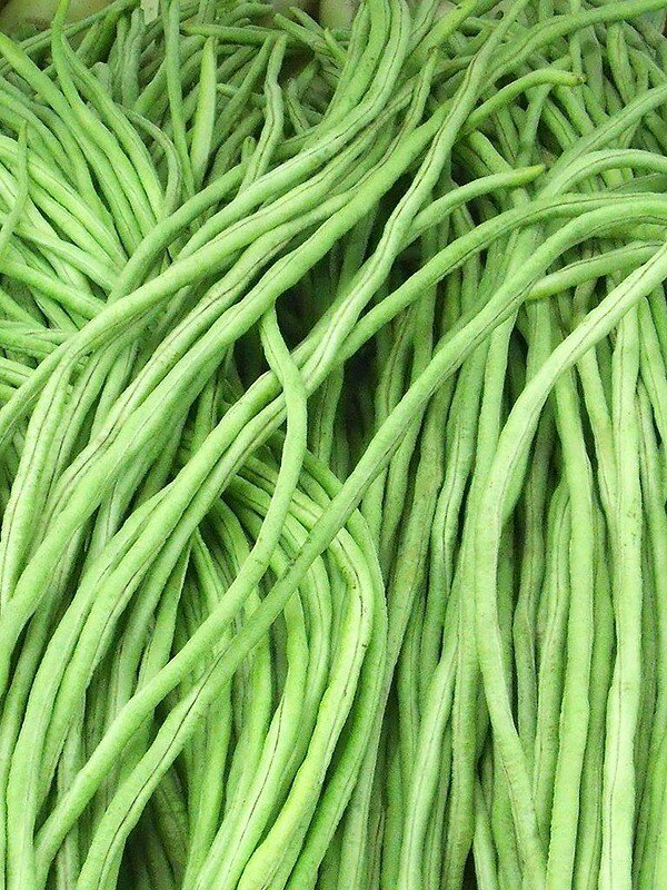 Размер стручков  от 60 см, достигает 1м и более. Внутри стручков семена бобы, 