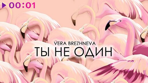 Вера Брежнева - Ты не один | Official Audio | 2021