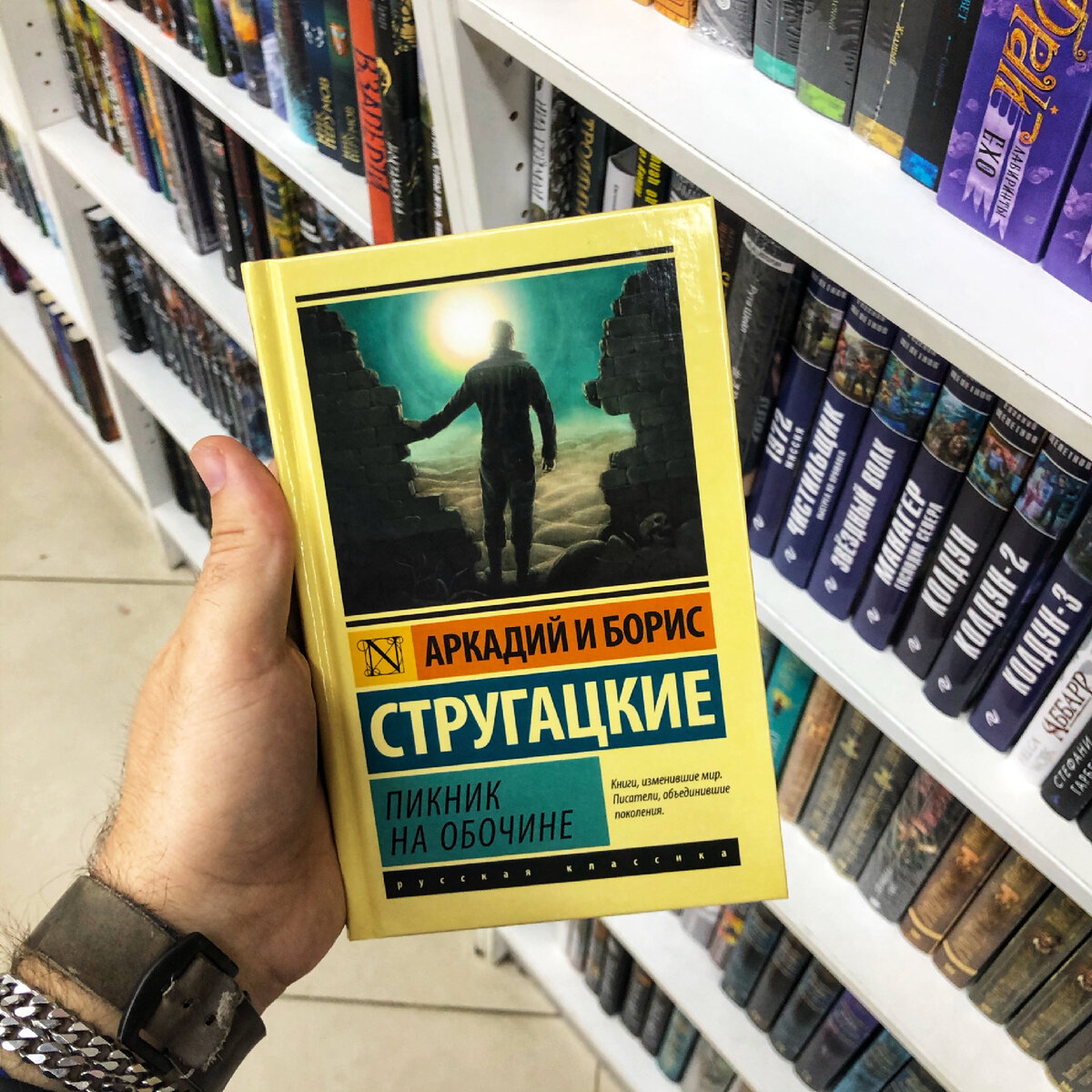 Популярные российские книги. Стругацкие лучшие книги. Братьев Стругацких. Пикник на обочине братья Стругацкие книга. Фантастика по Стругацких 2017.