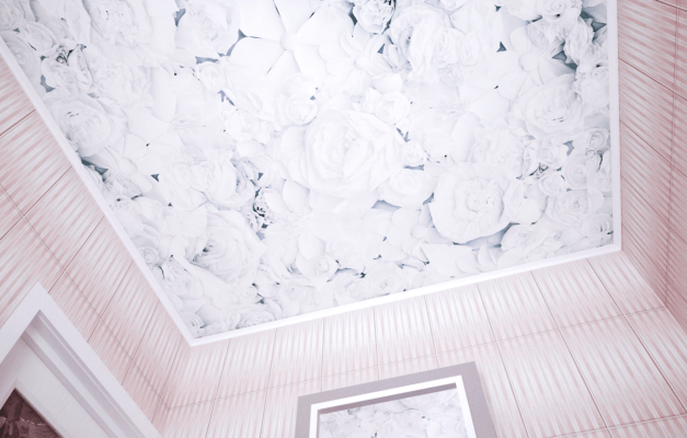 Фото взято из открытых источников для иллюстрации