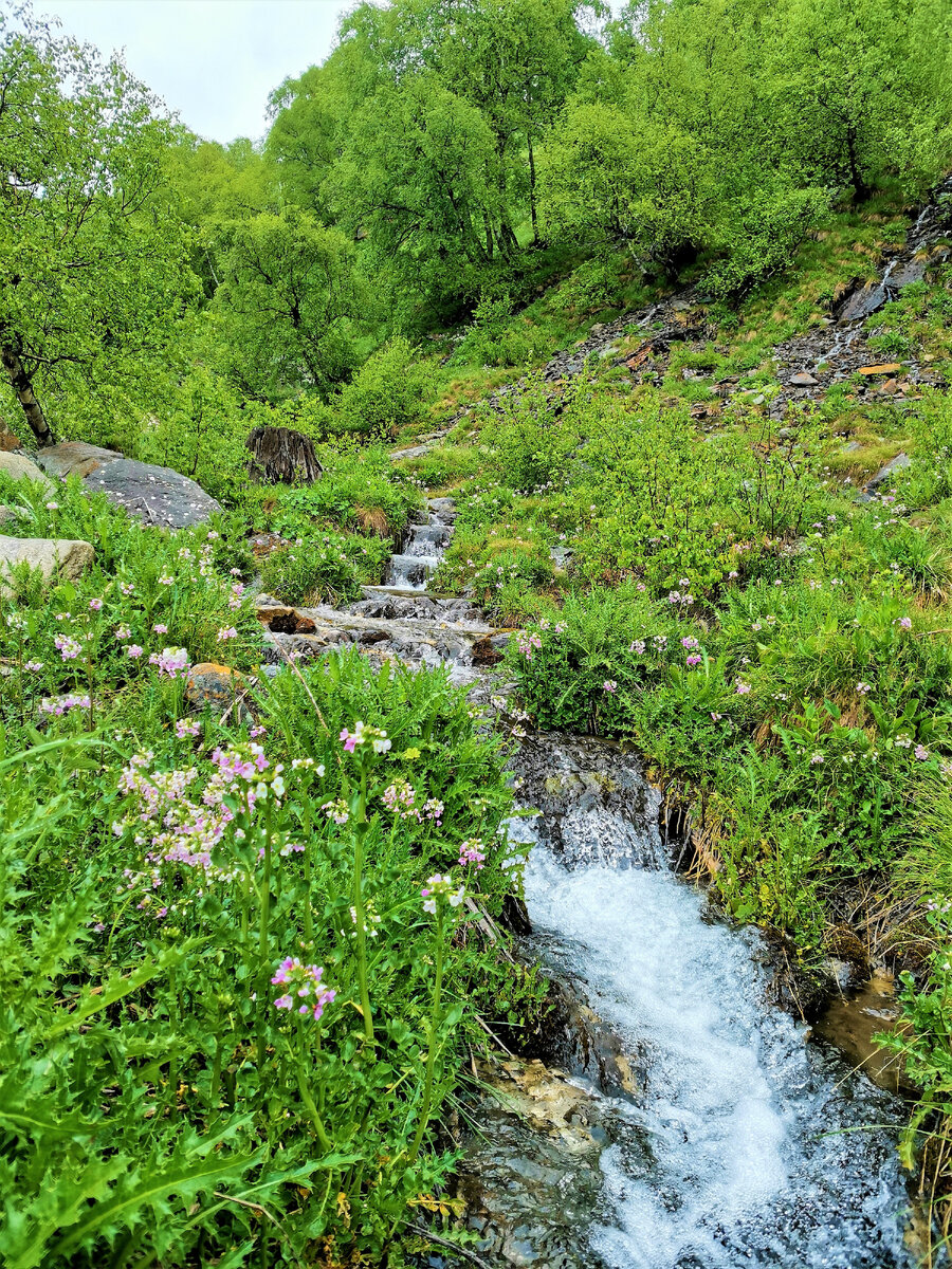 Ручей в ущелье Терскол