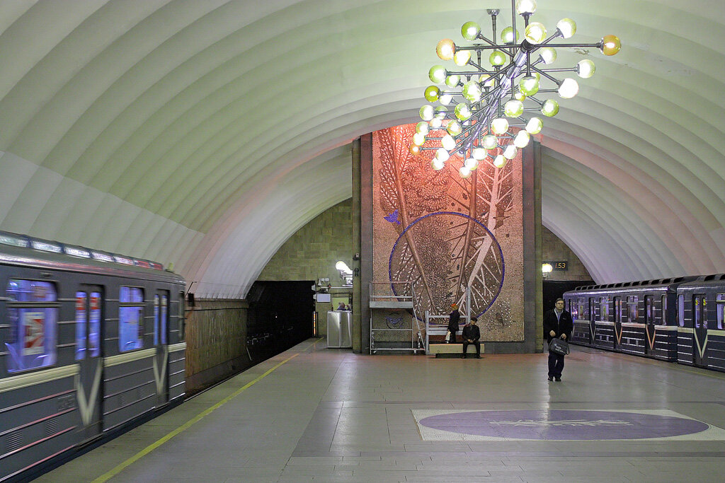 Новочеркасская saint petersburg metro. Станция метро Озерки Санкт-Петербург. Станция метро Озерки. Петербургский метрополитен станция Озерки. Станция метро Озерки СПБ.