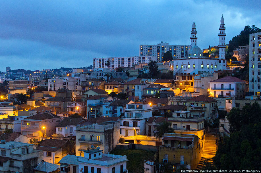Г алжир страна. Столица Алжир столица. Столица Алжира город Алжир. Город Африки Алжир. Северная Африка Алжир.
