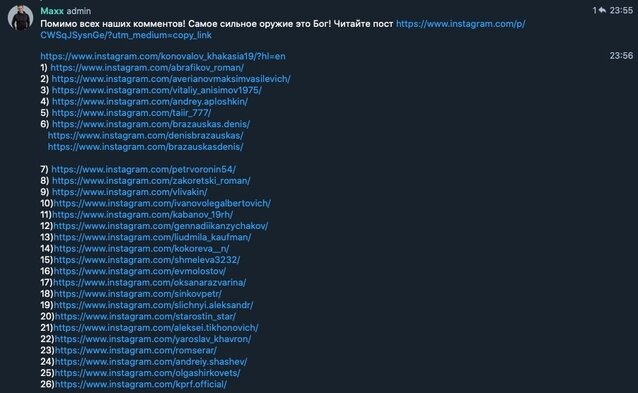 Фото:Чат активистов "Иммунного ответа"