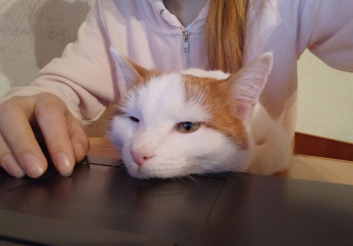 - Про меня пишешь, да? Пиши, пиши