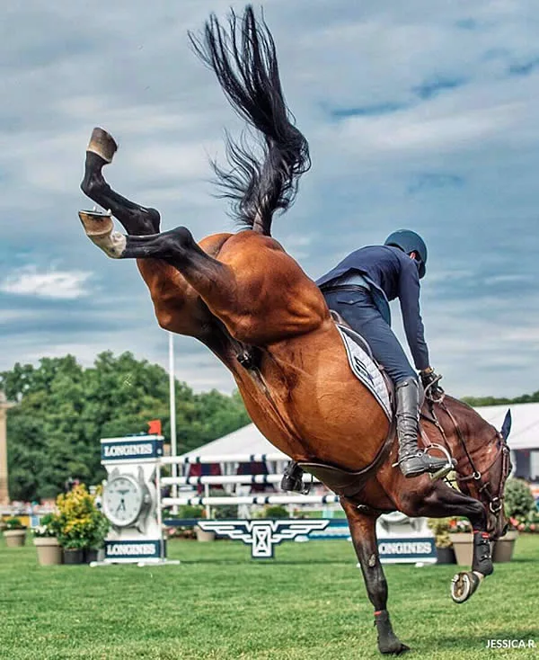 Думали, я побегу? А я не планирую. Фото яндекс.