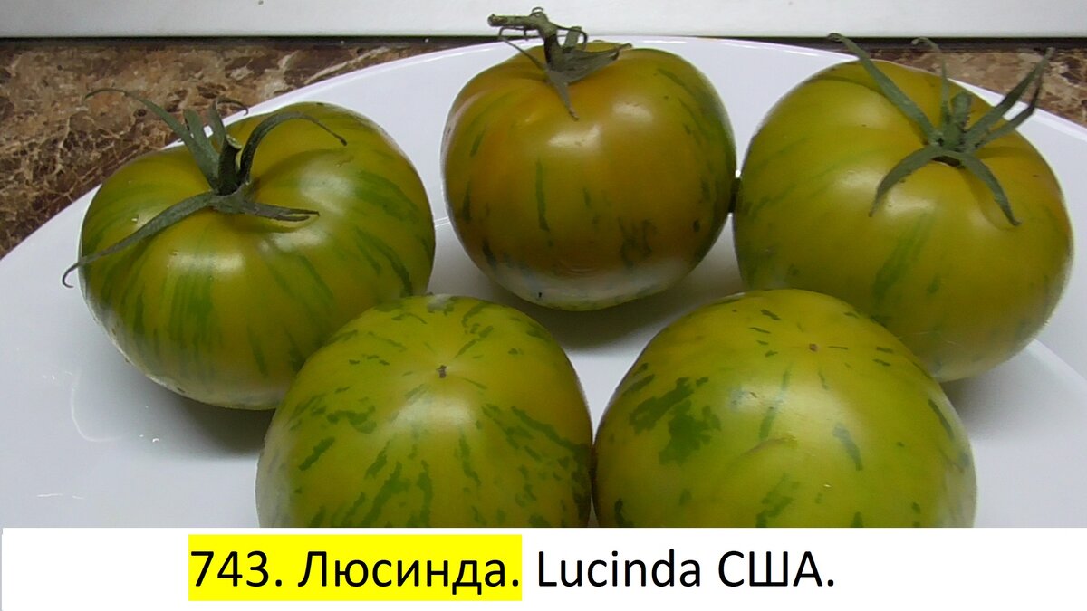 -62