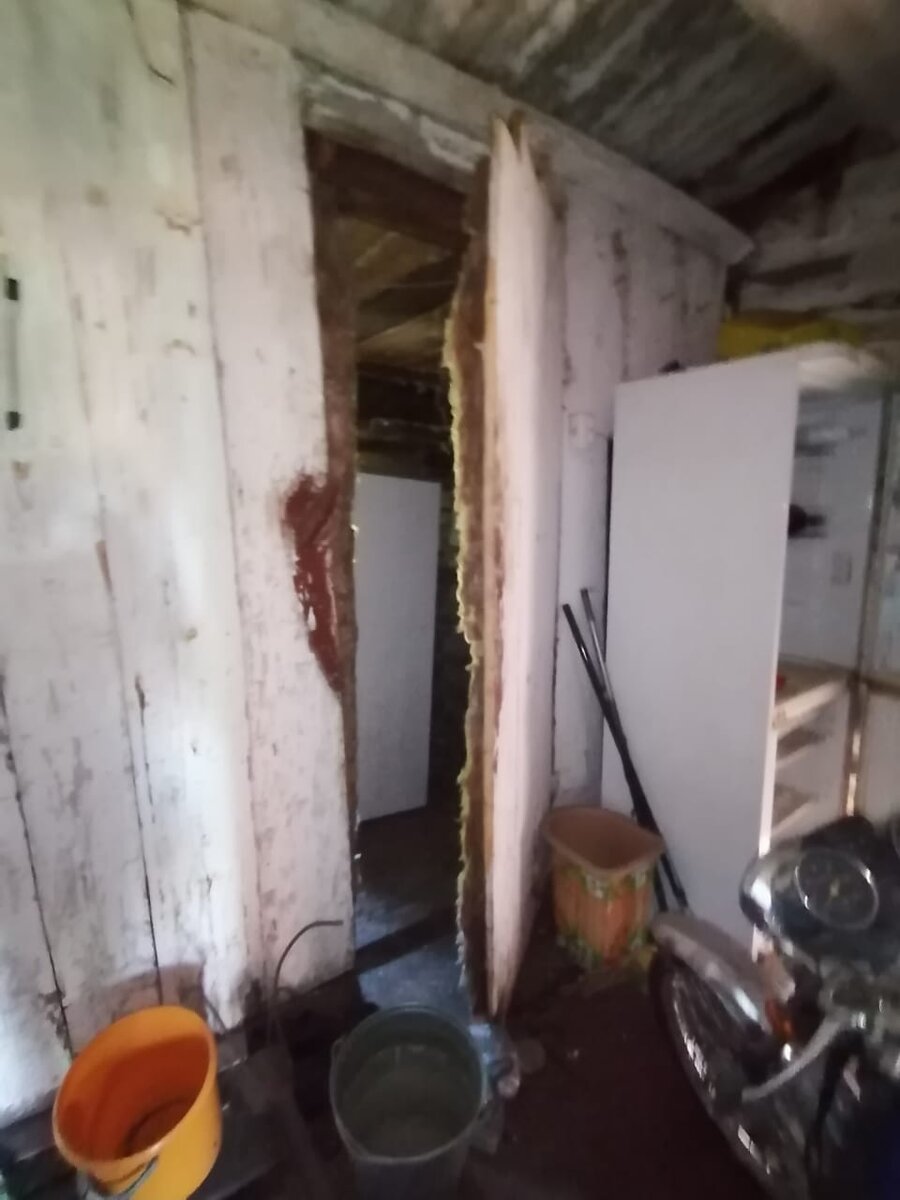 Дверь в курятник