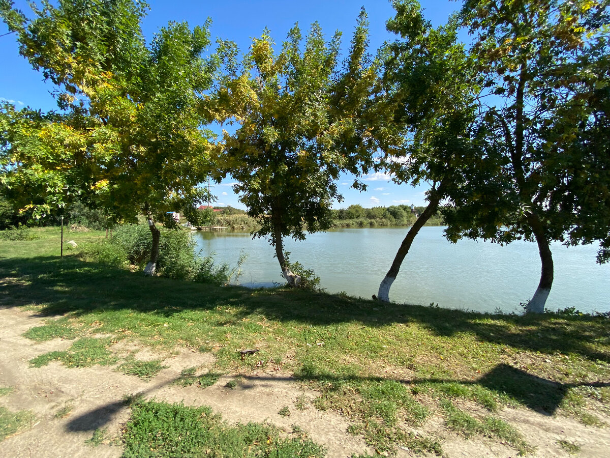 Красота в станице)