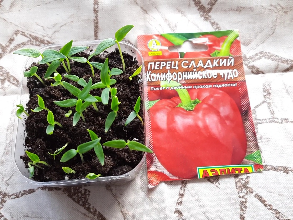 Фото из личного архива 