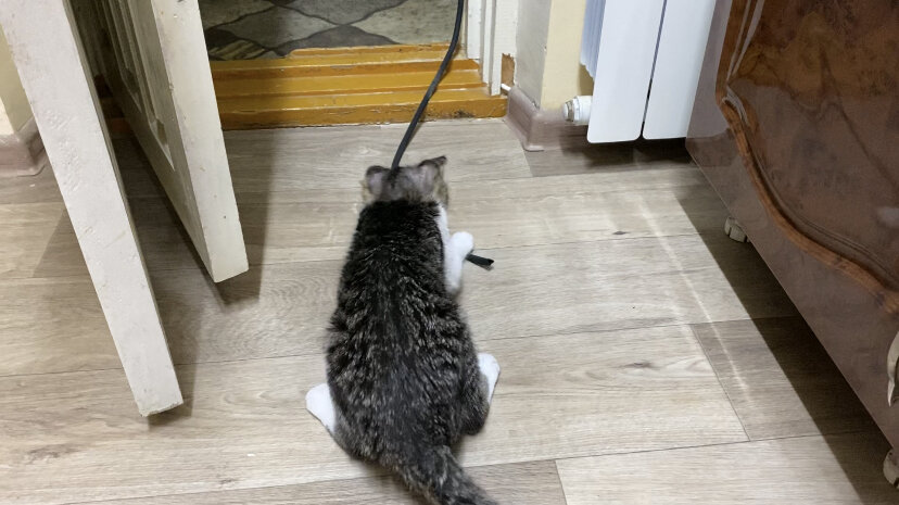 Здесь Симбе почти 7 месяцев