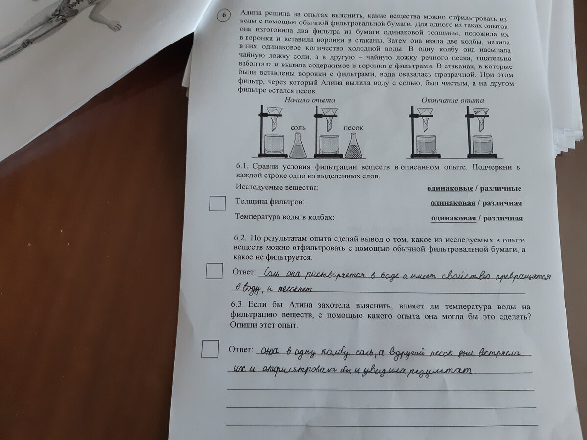 ВПР по окружающему миру в 4 классе | Школьные посиделки | Дзен