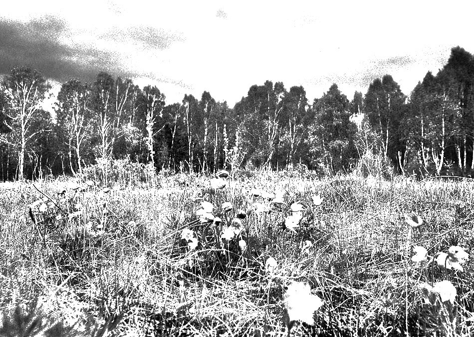 С использованием  http://www.photoline.ru/critic/picpart/1390/1390045976.jpg
