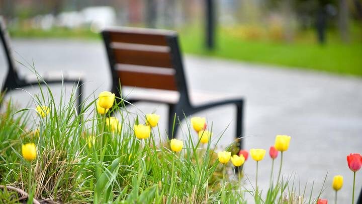 Фото: Сергей Киселев / АГН Москва