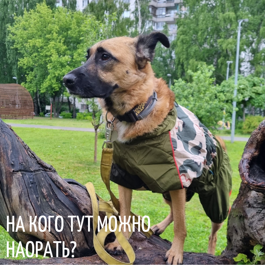 Лея Вейдоровна высматривать кого бы оборать, потому что не в духе