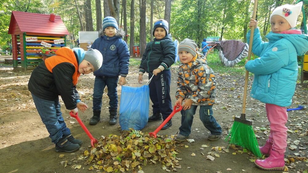 Картинки трудовая практика в школе