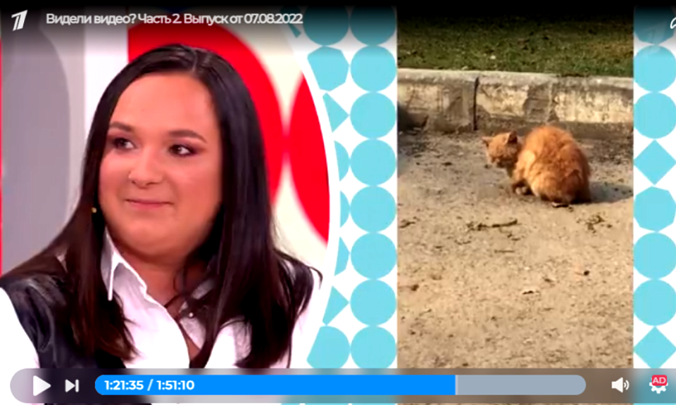 Скрин программы шоу "Видели видео?" на Первом канале