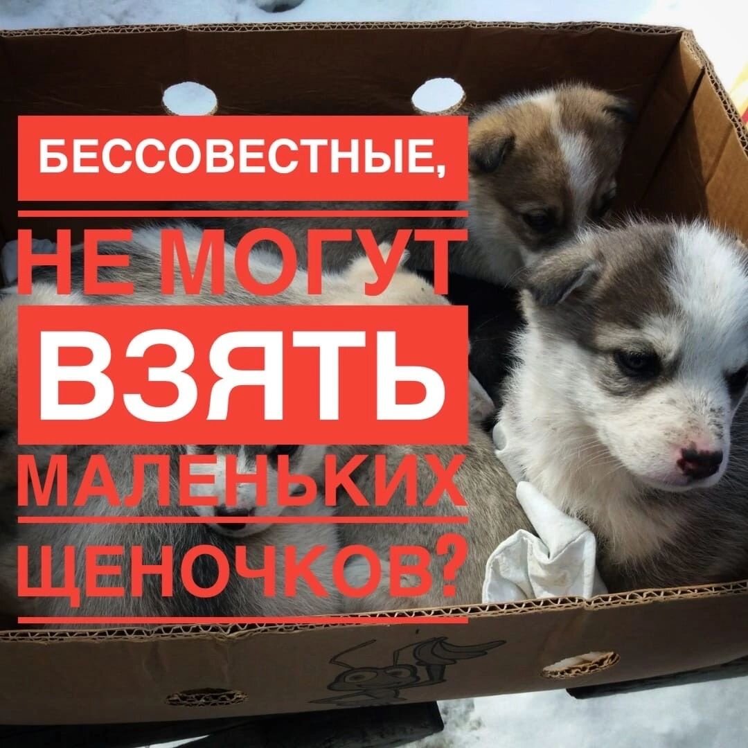 Мы ВСЕ!