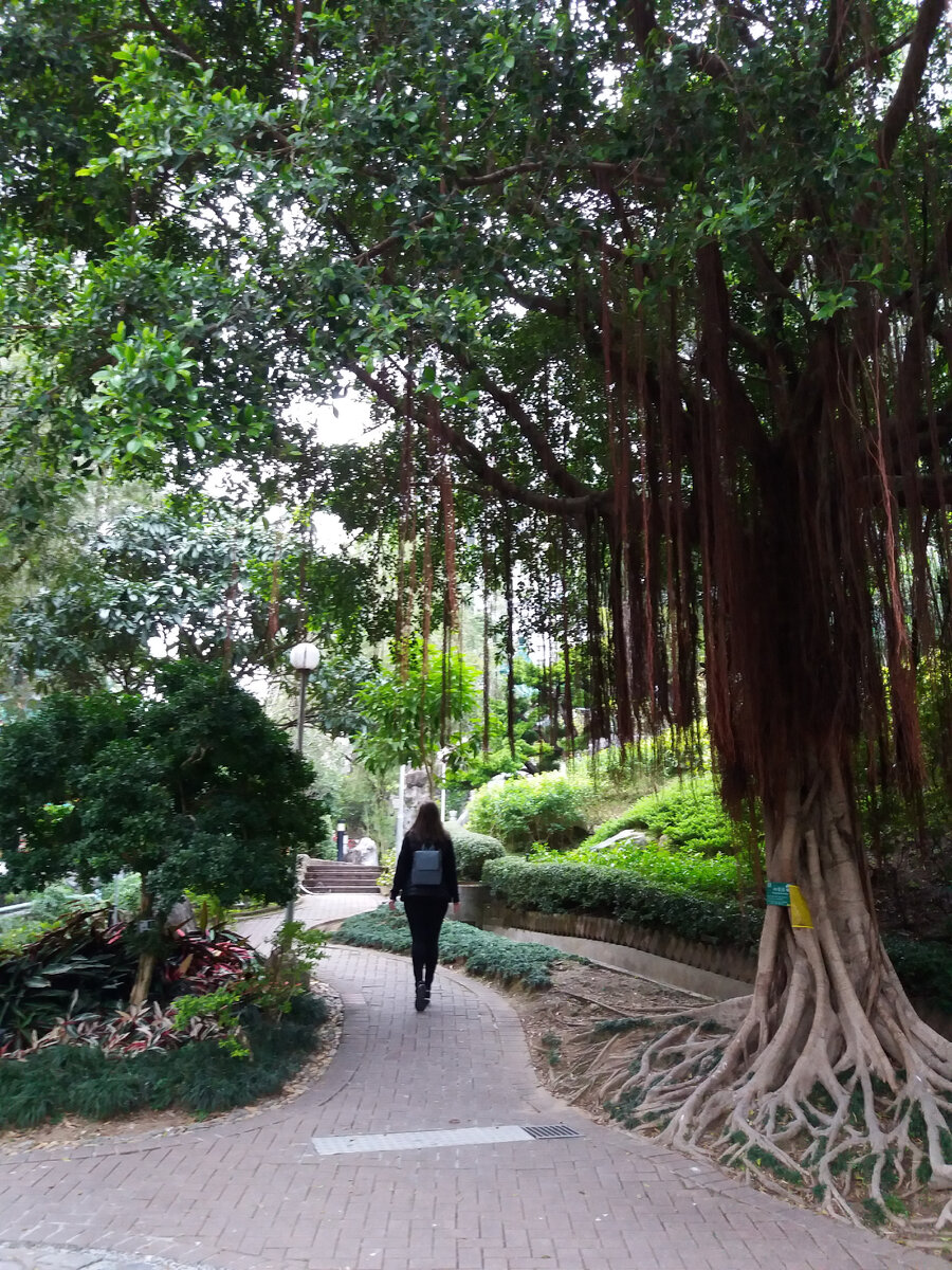 Все фото\видео мои. Китай. Гонконг.