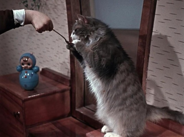 Кадр из детского фильме  Роу «Королевство кривых зеркал» 