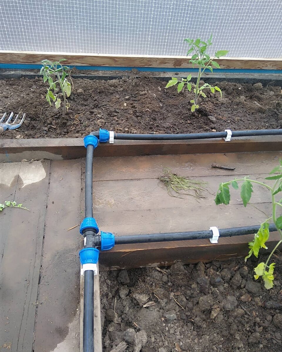Магистраль разветвляется на каждый ряд в теплице 