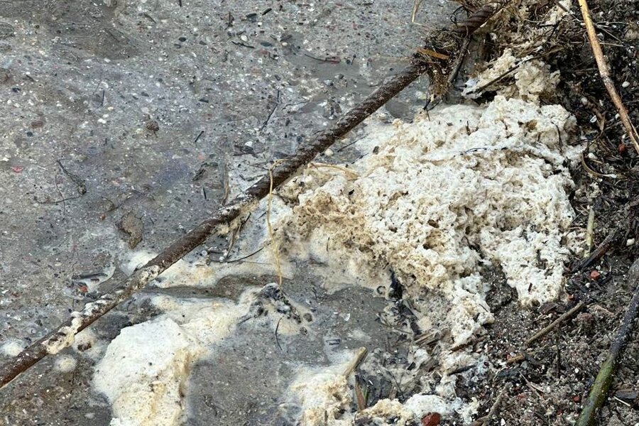 Фото: телеграм-канал СЗМУ Росприроднадзора