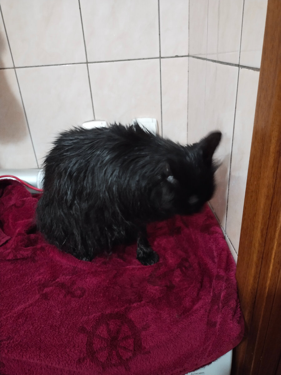 Угррбугрбугрррбурргбрр