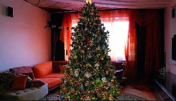 Картинка взята в интернете