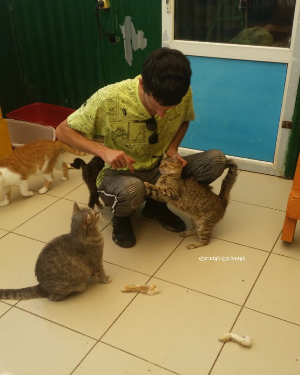 Владимир Мороз в котариуме приюта "Ключ Добра" 