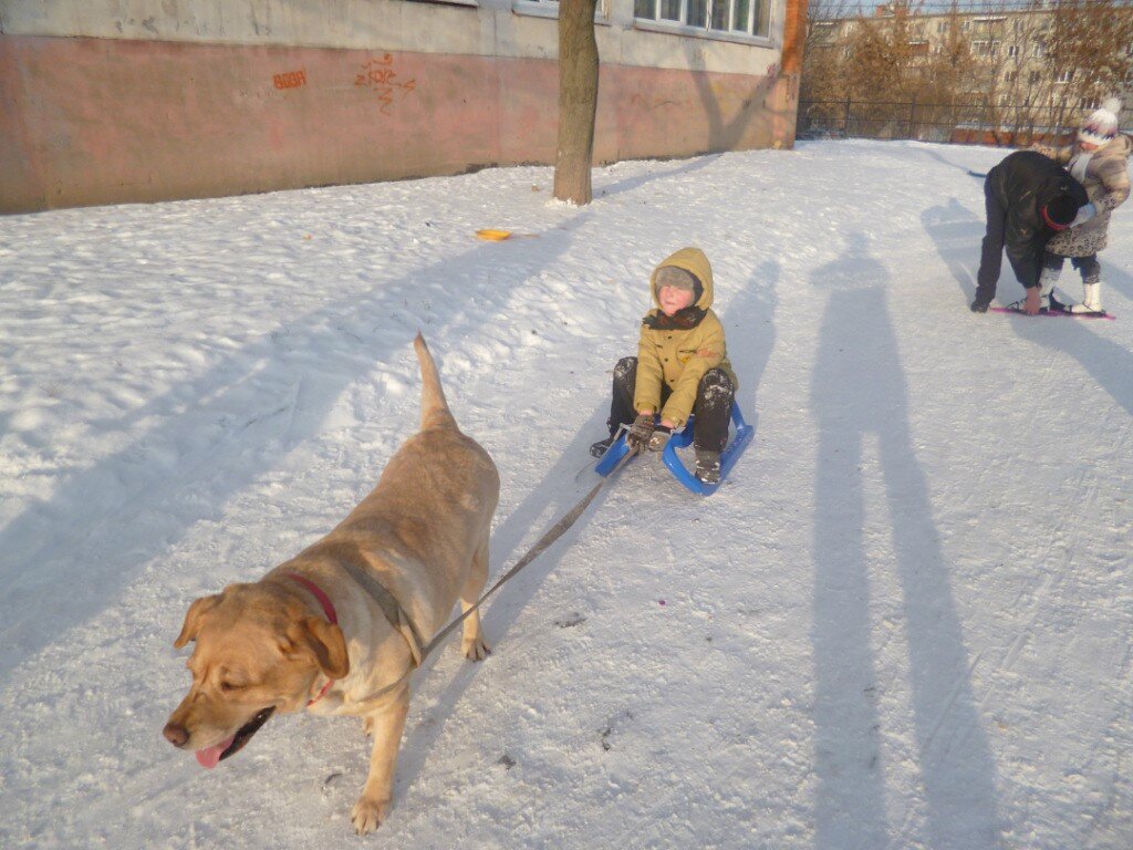 Фото из архива автора.