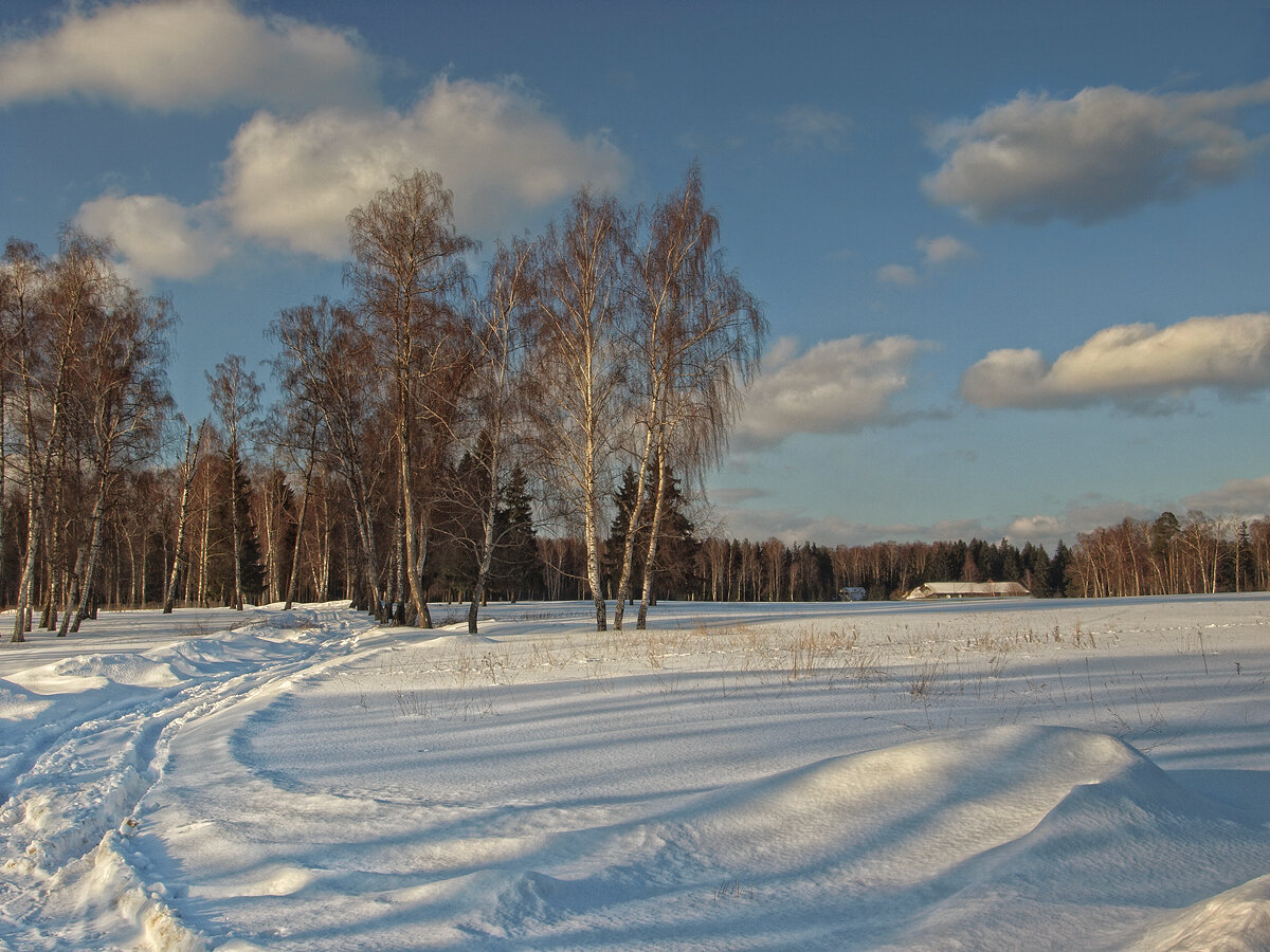 Зима средней полосы. Природа зима средняя полоса. Зимняя природа средней полосы России. Зимний пейзаж Березки. Россия пейзажи Берёзки зима.