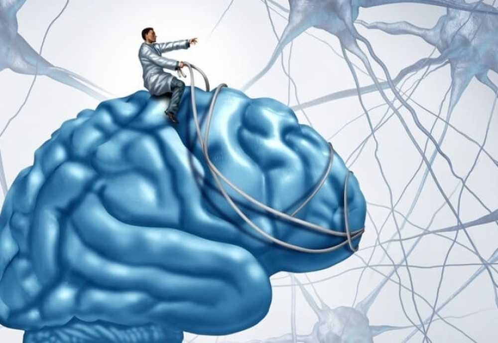 Мозг знает почему тебе плохо