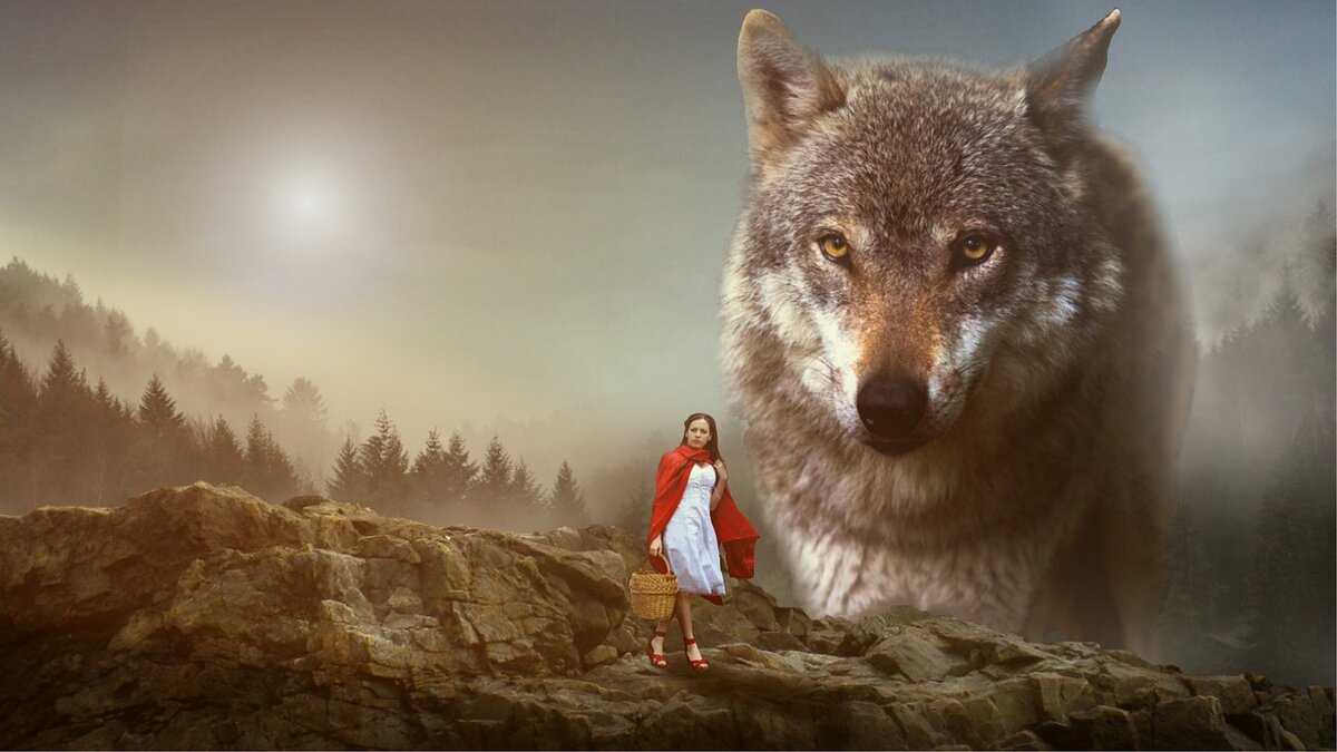 Страшная сказка о Красной Шапочке - отличный сторителлинг. Фотоколлажи с сайта pixabay.com