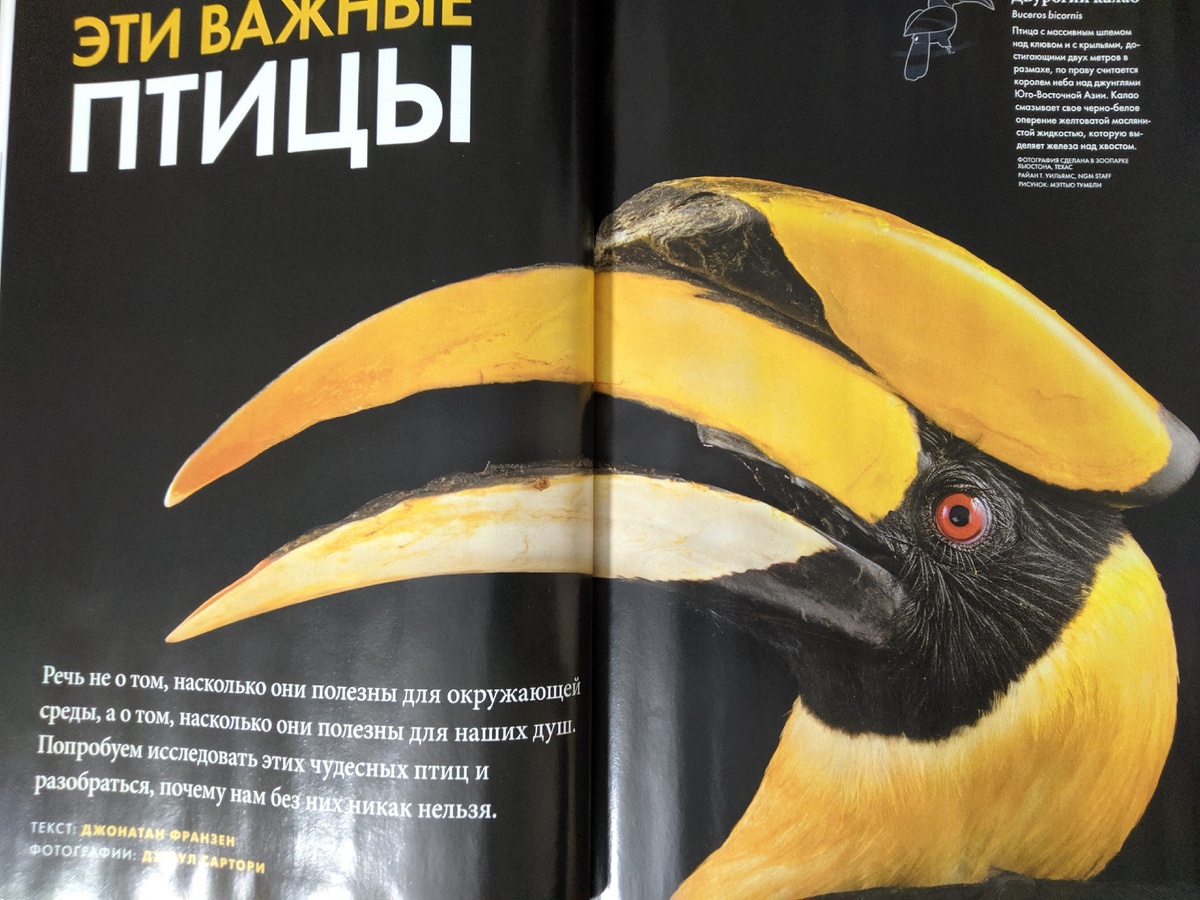 National Geographic