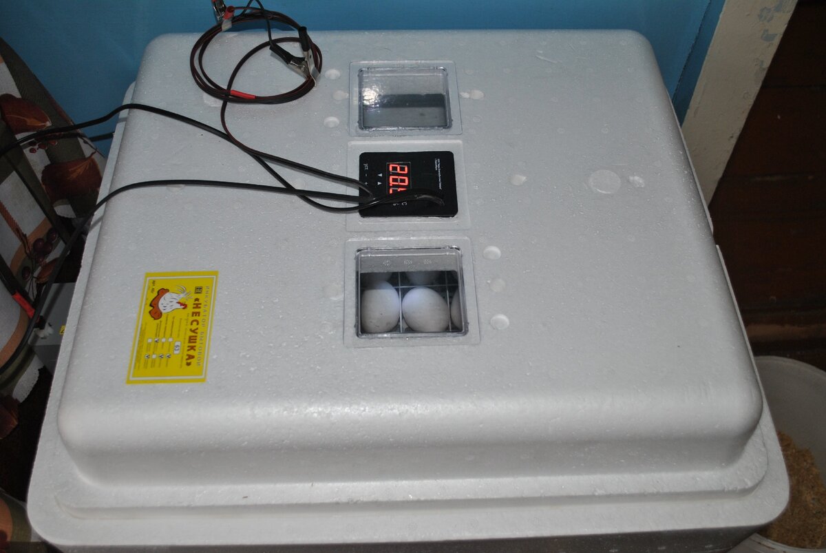 Инкубатор Несушка на 120 яиц с вентиляторами (93вг)