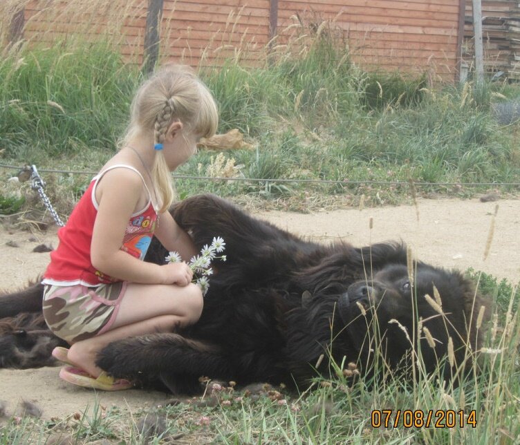 Моя дочурка и БМВ Барбос, вл. собаки - Маныкина Е.Н.