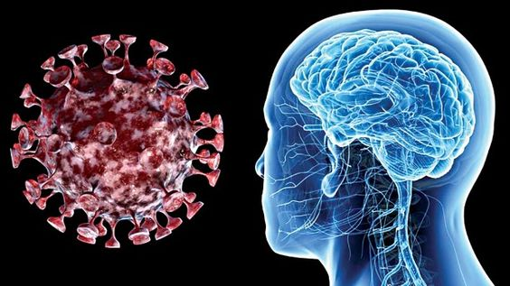 Cвязь между COVID-19 и поражением головного мозга