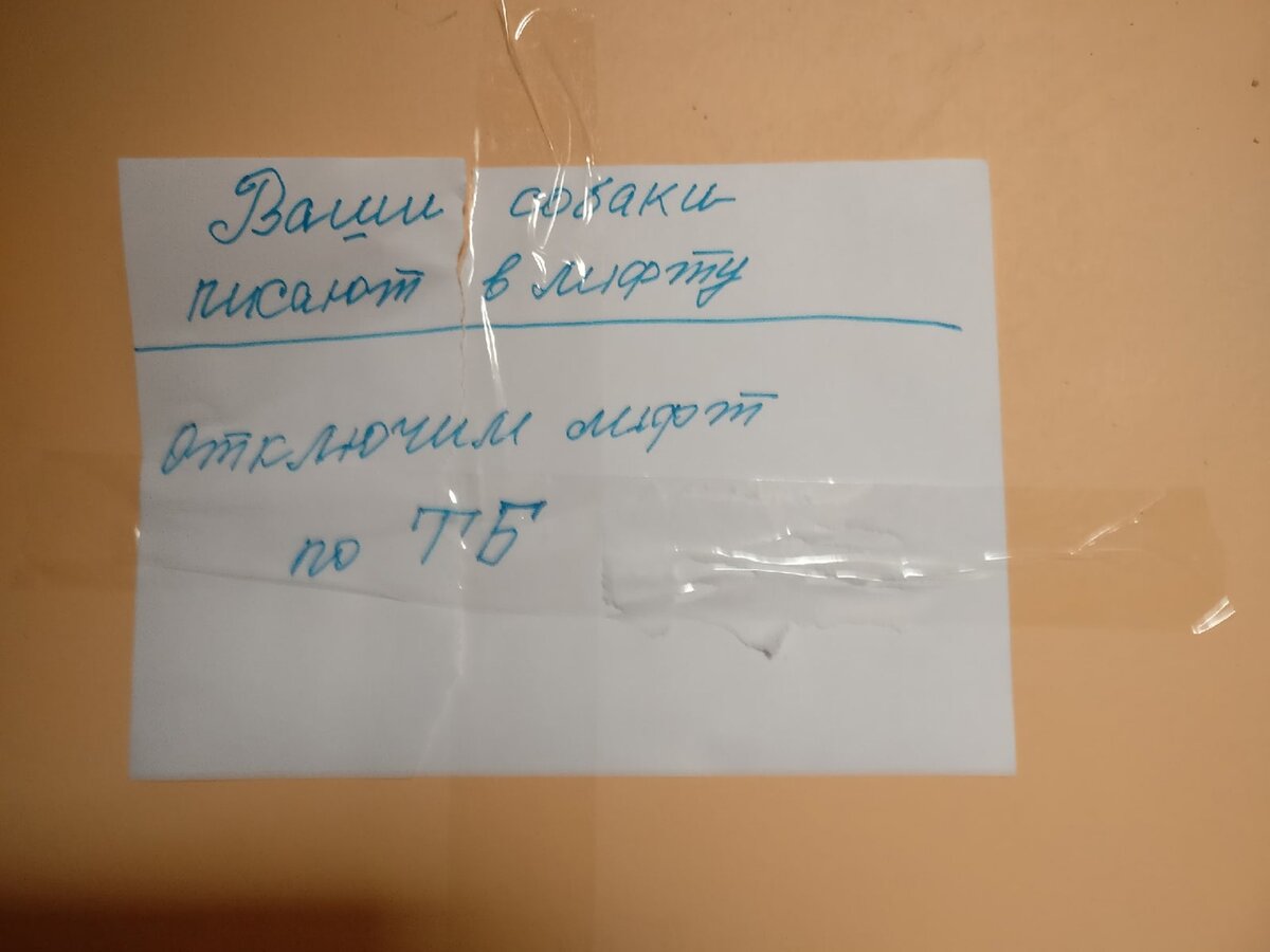 Собака без технической грамотности - горе в семье! )))  (фото в одном из подъездов Смоленска)
