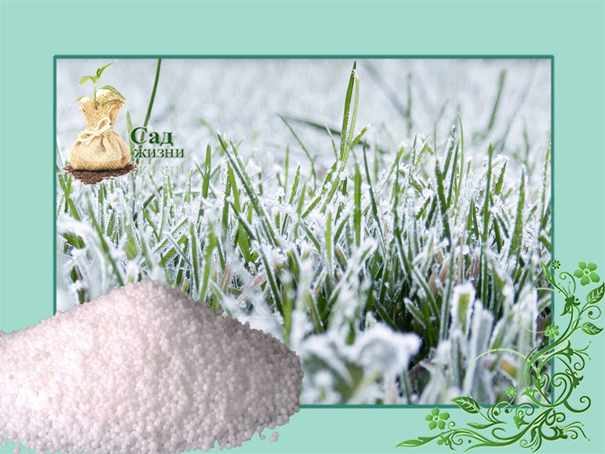 Удобрения по снегу