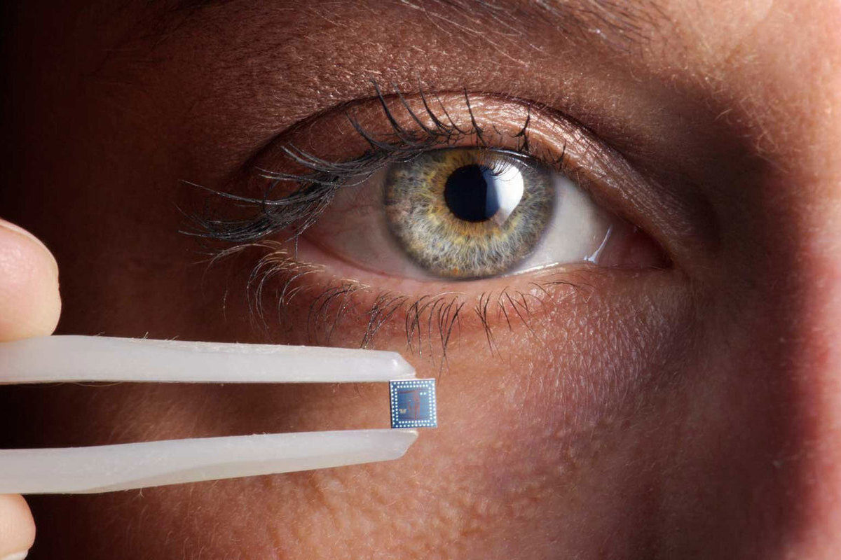 Фото из публичного доступа yandex.ru