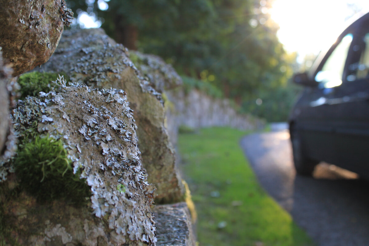 почти добравшись до места остановились около церкви и кладбища, которое было окружено старинным каменным, даже не знаю как сказать, забором? оградой?