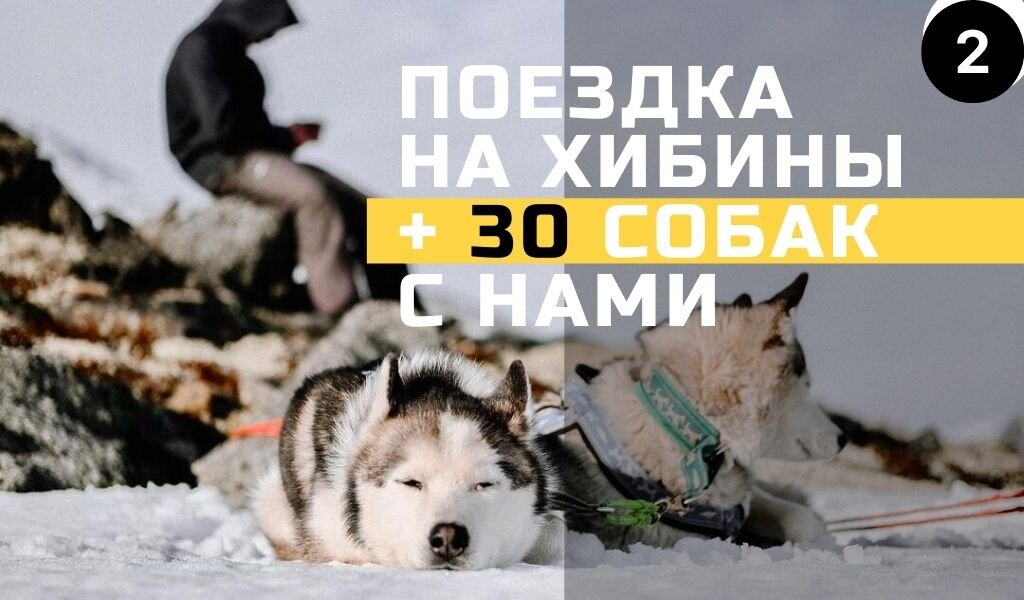 Фотография: @svetkakudri