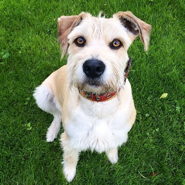 Фото человеческого взгляда Евы. Источник фото: lady.mail.ru