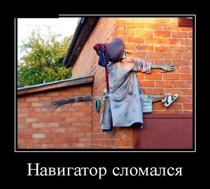 Яндекс картинки