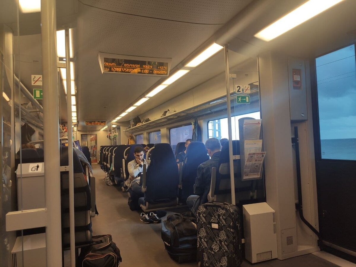 Ласточка, фото мое