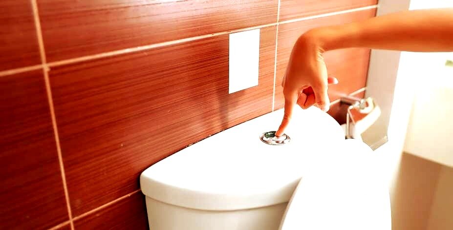 Фото Яндекс картинки