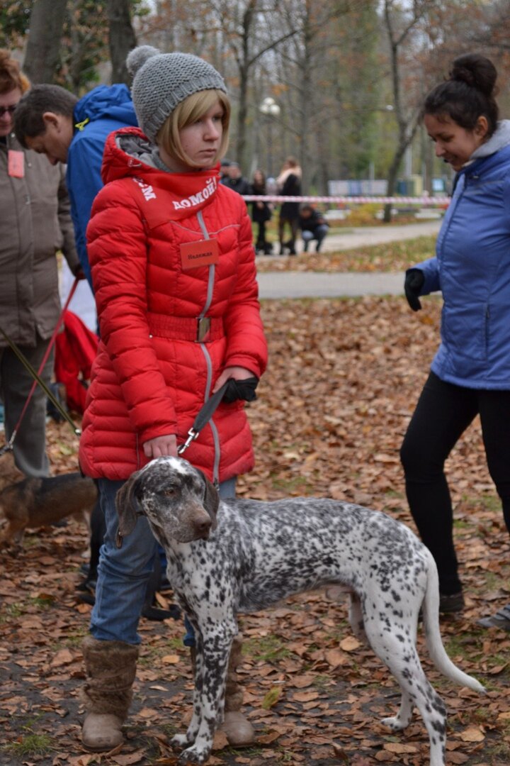 На выставках-раздачах всегда много детей, и это здорово!