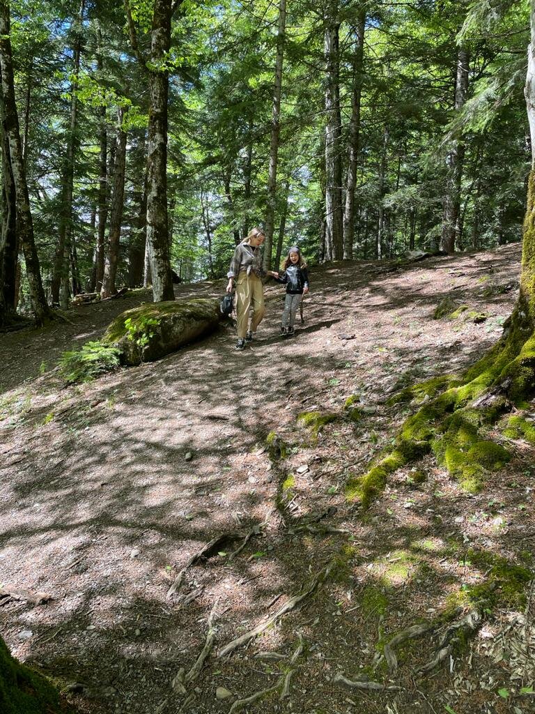 Кордон Гузерипль